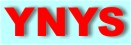 YNYS Services